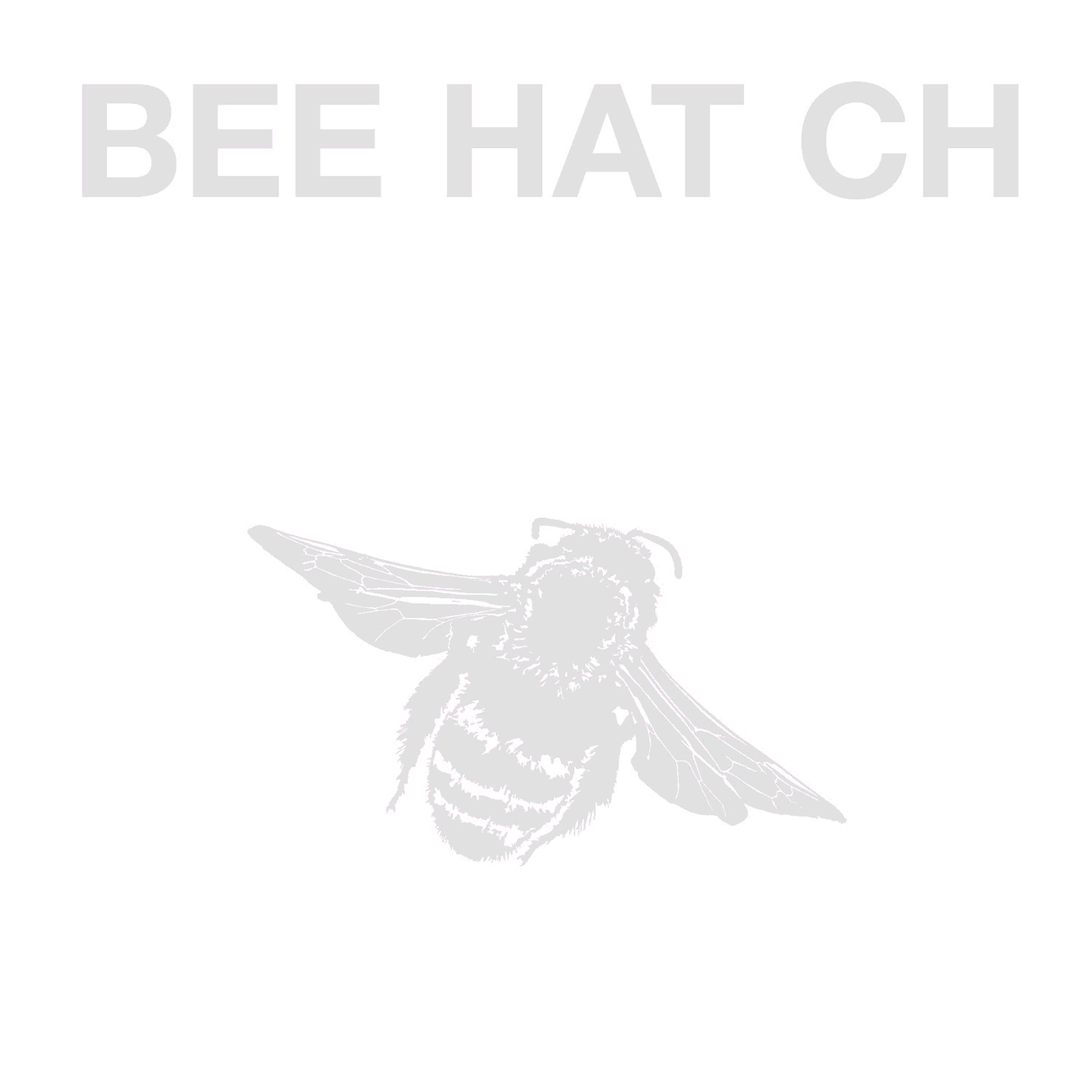 BEE HAT CH