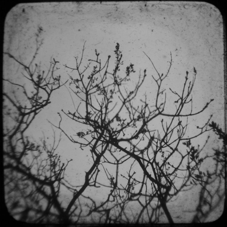 Nighttime Echoes - Photography by Daniel Tuttle