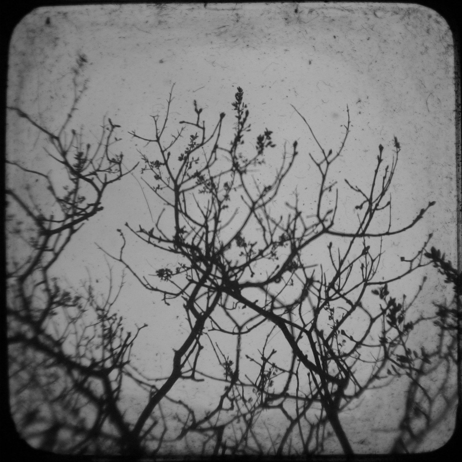 Nighttime Echoes - Photography by Daniel Tuttle