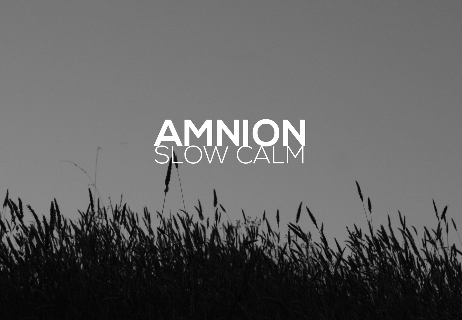 AMNION Slow Calm