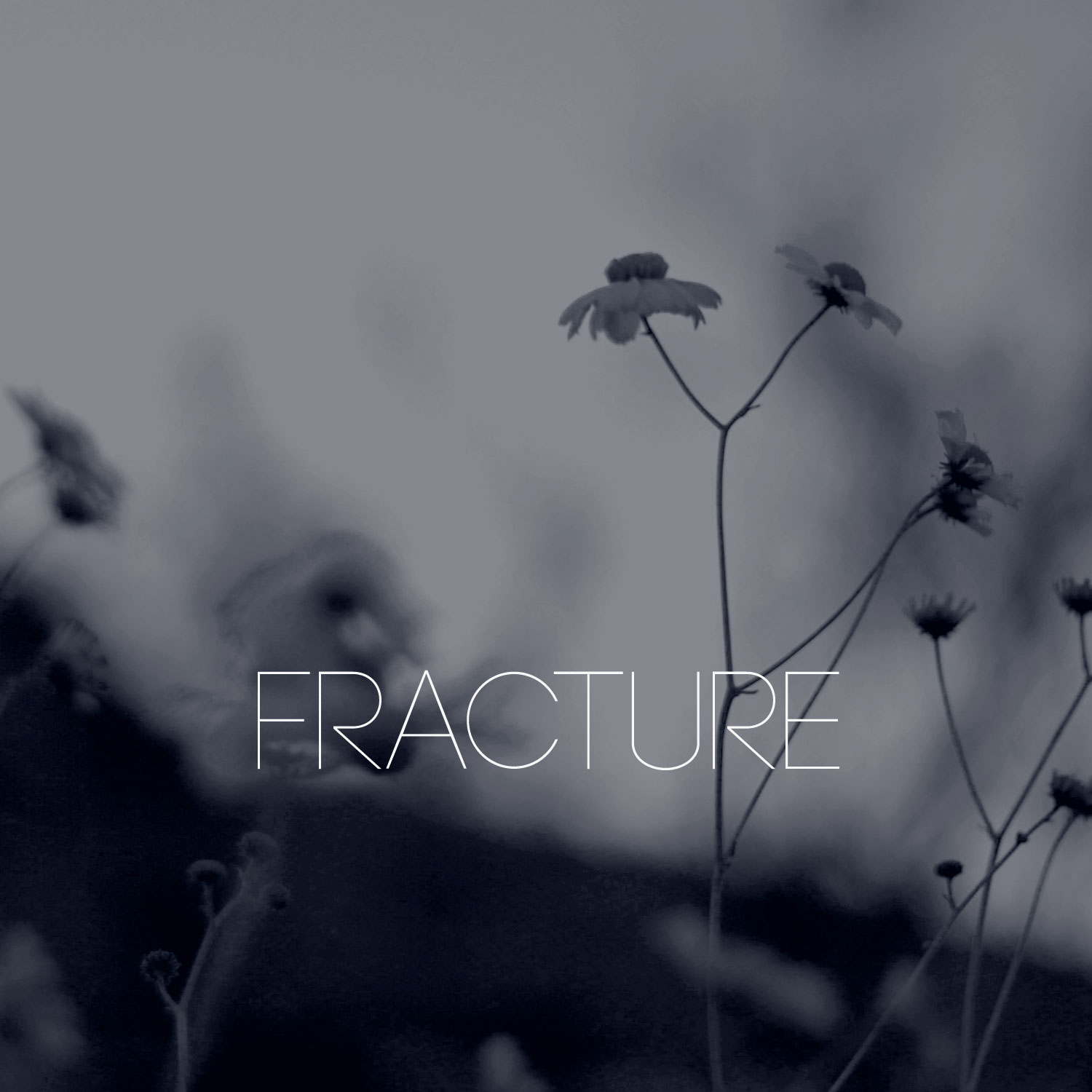 Row Boat and Apta - Fracture - Cover Design by Daniel Tuttle