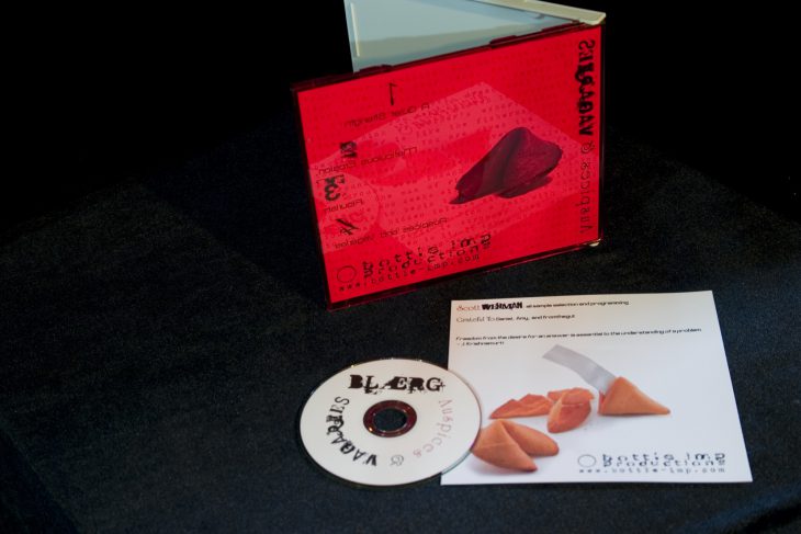 Auspices and Vagaries CD with Cover and Tray