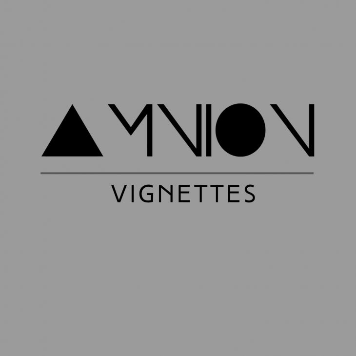 AMNION Vignettes Front Cover